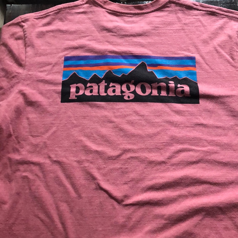 Patagonia Short Sleeve - Salmon